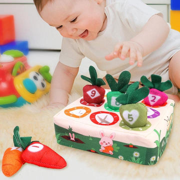 Montessori Toys Baby Pull Carrot Plush Toy Number Shape Matching Toys Cognitive Development Baby